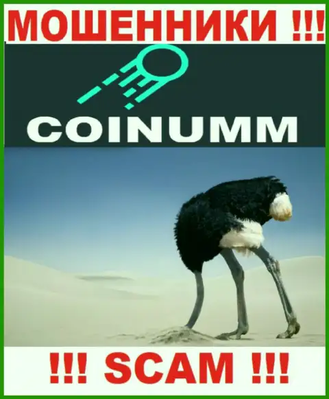 Компания Коинумм Ком не имеет регулятора и лицензионного документа на право осуществления деятельности