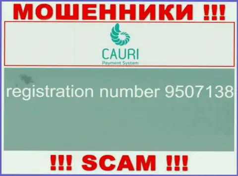 Регистрационный номер, который принадлежит жульнической компании Каури Ком: 9507138