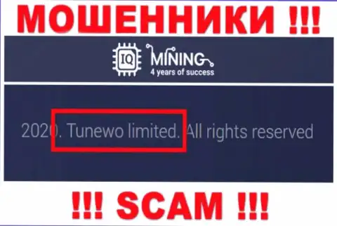 Лохотронщики IQ Mining написали, что Tunewo Limited управляет их лохотронным проектом