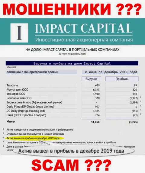 На сайте ImpactCapital Com рисуют доход организации ???