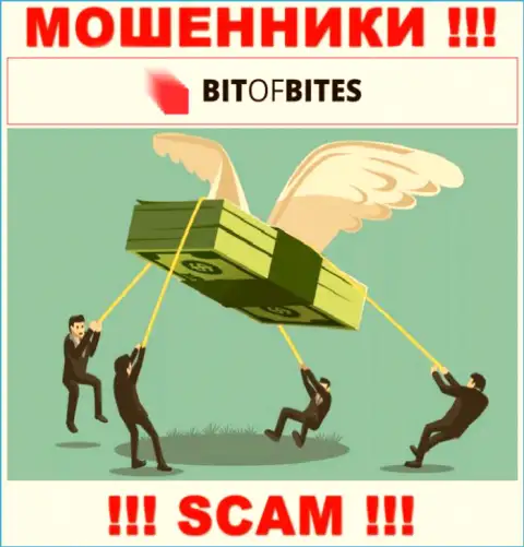 Не сотрудничайте с дилером BitOfBites Com - не окажитесь очередной жертвой их незаконных комбинаций