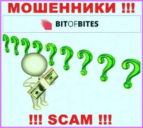 На официальном web-сайте Bitofbites Limited нет абсолютно никакой информации о прямом руководстве организации