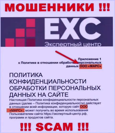 Вот кто руководит организацией Экспертный Центр России - это ООО МАРС