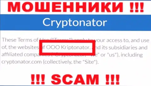 Компания Криптонатор Ком находится под крышей организации OOO Криптонатор
