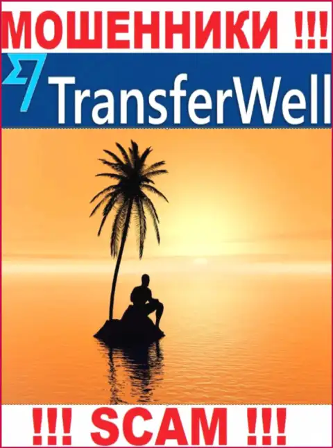 Юрисдикция TransferWell скрыта, так что перед отправкой средств следует подумать хорошо