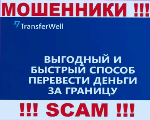 Не стоит верить, что работа TransferWell в сфере Система платежей легальная