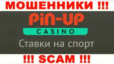 Основная деятельность Pin UpCasino - Casino, будьте осторожны, промышляют незаконно