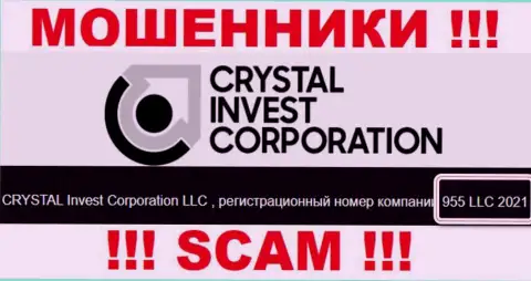 Регистрационный номер конторы Crystal Invest Corporation, скорее всего, что ненастоящий - 955 LLC 2021