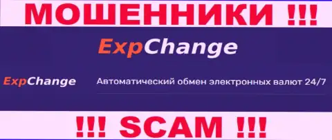 Криптовалютный обменник это то на чем, якобы, профилируются internet-лохотронщики ExpChange Ru