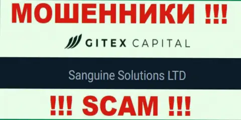 Юридическое лицо GitexCapital Pro - это Sanguine Solutions LTD, именно такую инфу опубликовали мошенники на своем портале