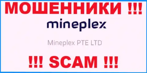 Руководством Mineplex PTE LTD является организация - МинеПлекс ПТЕ ЛТД