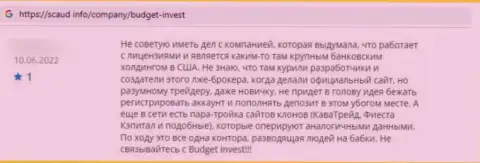 Автор отзыва пишет, что Budget Invest это МОШЕННИКИ !!! Взаимодействовать с которыми рискованно