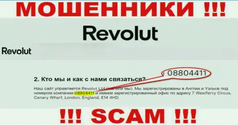 Будьте осторожны, присутствие номера регистрации у организации Револют (08804411) может быть приманкой
