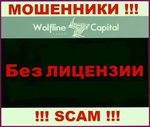 Нереально отыскать информацию о лицензии мошенников WolflineCapital - ее просто не существует !