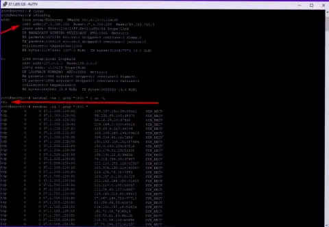 Доказательство DDoS атаки на maximarkets.pro