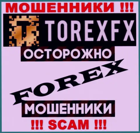 Вид деятельности ТорексФХ: Форекс - хороший доход для internet-шулеров