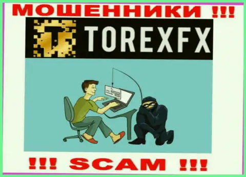 Аферисты Torex FX могут постараться развести Вас на деньги, только имейте в виду это крайне рискованно